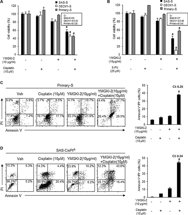 Restored chemosensitivity in YMGKI-2 treated sphere cells and cisplatin resistant cells.