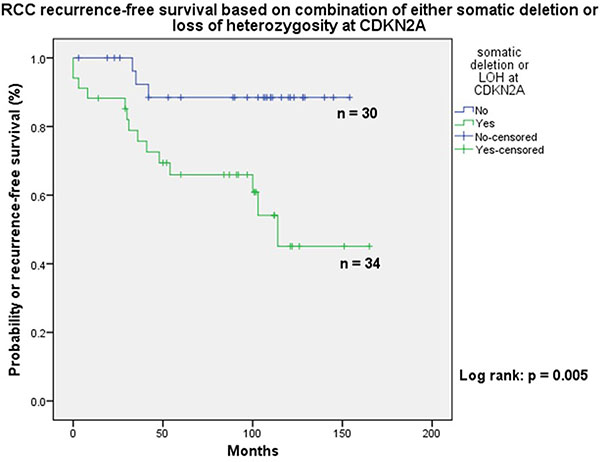 Showing better recurrence free survival in patients with no loss of heterozygosity or deletion of chromosome 9p.