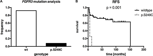 FGFR3 mutation analysis of our squamous differentiated bladder cancer samples (n = 71).
