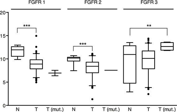 mRNA expression of FGFR1, 2 and 3 in the &#x201C;squamous-like&#x201D; bladder cancer subtype of the TCGA cohort.