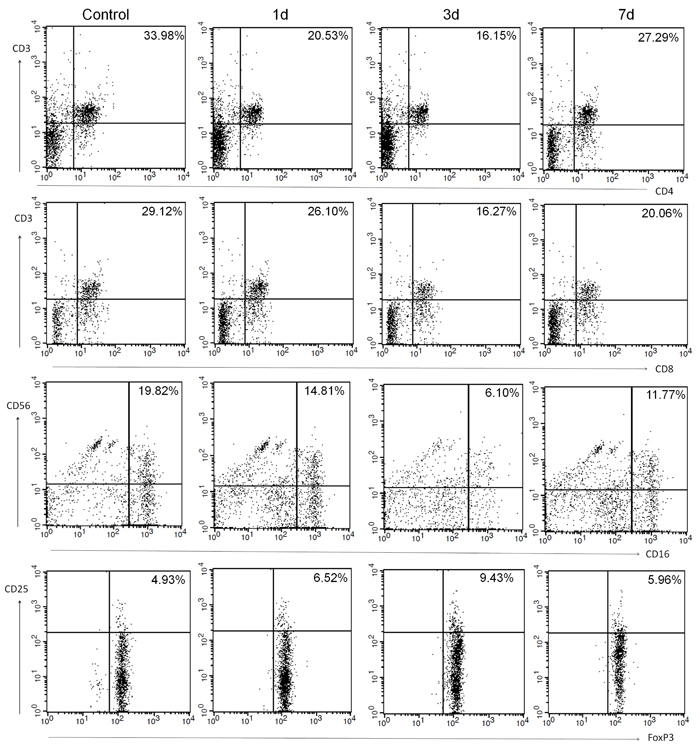 Representative flow cytometric analyses of blood lymphocyte subpopulations in control subjects and in patients with ischemic stroke on days 1, 3 and 7: Th cells (CD3