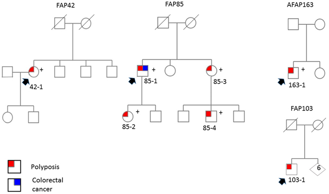 Pedigrees of ASE families.