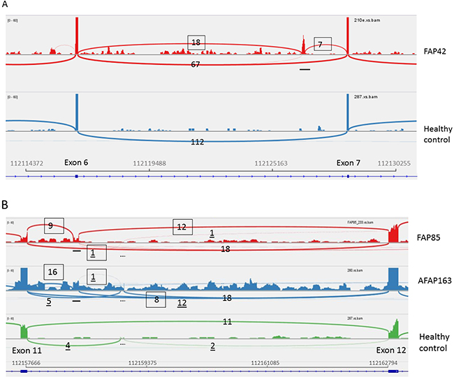 RNA-seq (42, 85-2, and 163).