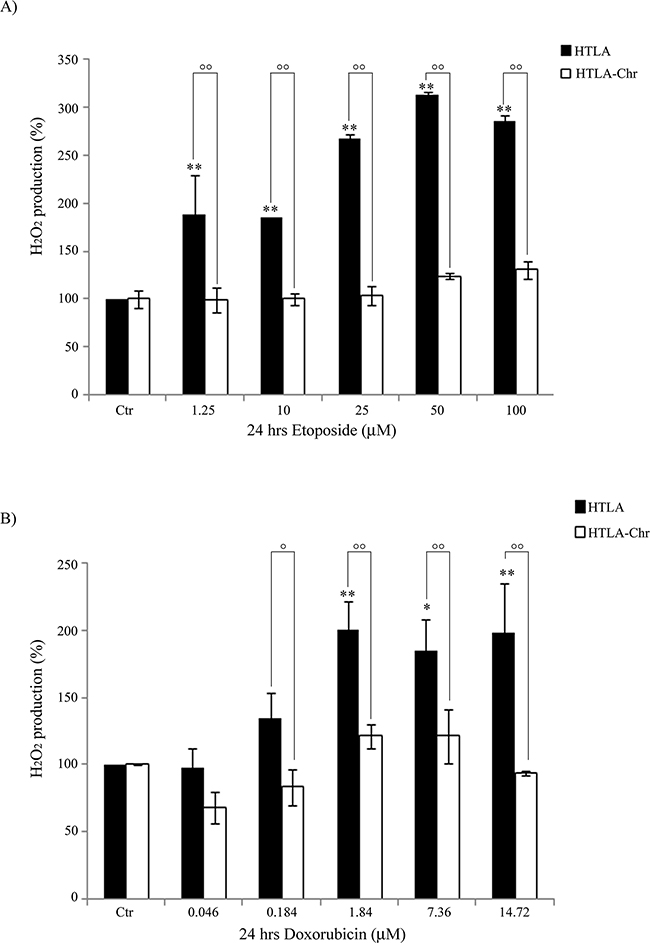 HTLA-Chr cells do not change H2O2 production after treatment with etoposide or doxorubicin.