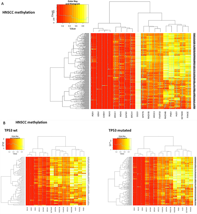 Heatmaps showing clustering and differential methylation of candidate genes from all three squamous histologies.