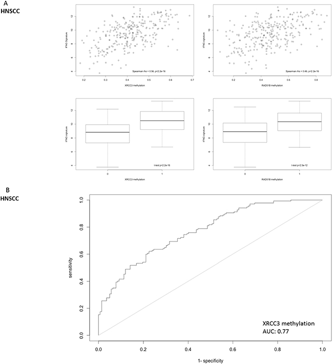 Correlation of DNA repair gene methylation with the expression of a 6-gene IFNG signature (consisting of STAT1, HLA-DRA, IFNG, IDO1, CXCL9 and CXCL10) that has been identified as a predictive biomarker for PD-1 inhibitor efficacy in head and neck cancer.