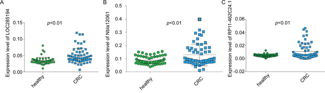 The expression levels of the three lncRNAs in serum.