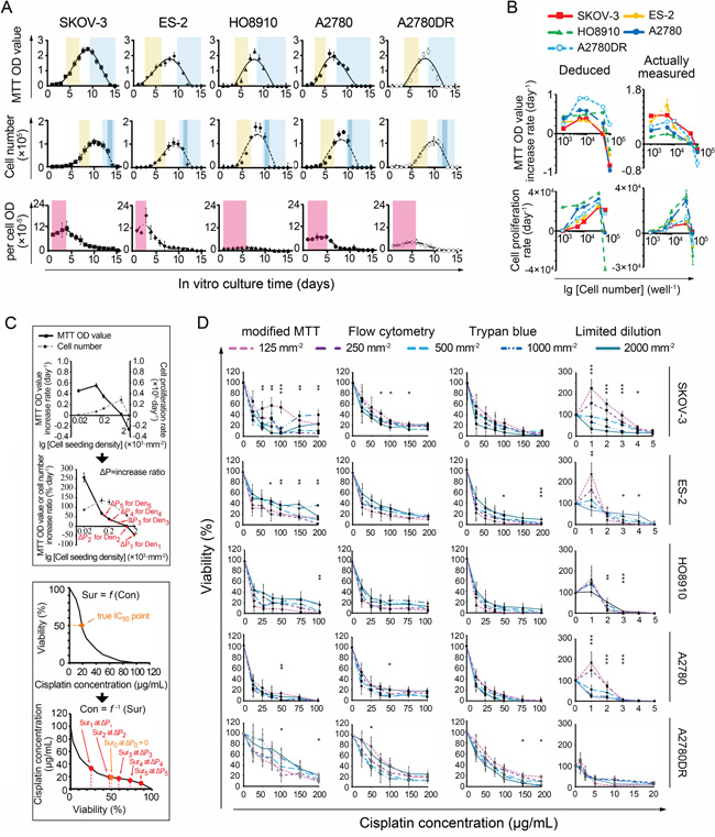 Relationship between IC50 values and cell seeding densities.