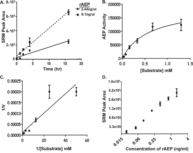 Development of Assay Conditions to Monitor AEP Activity in Plasma.