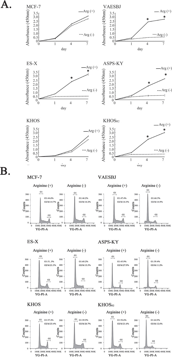 Effects of arginine deprivation on cellular proliferation and the cell cycle in MCF-7 cells and five sarcoma cell lines.