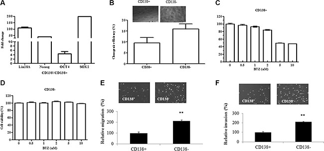 CD138&#x2212; cells display the characteristics of stem cells and have greater migration and invasion capability.