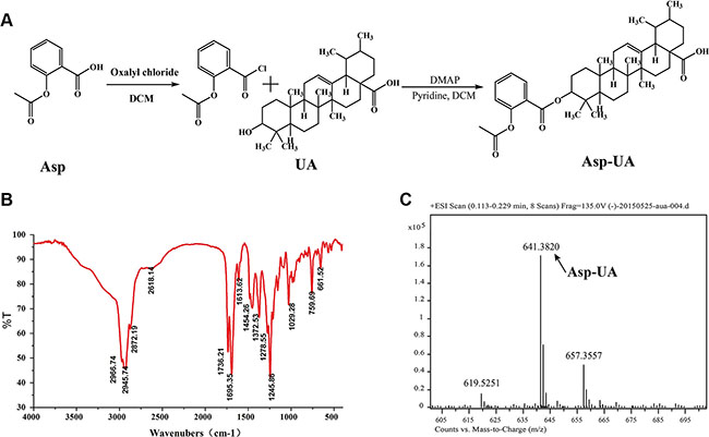 Synthesis scheme and spectral characterization of Asp-UA.