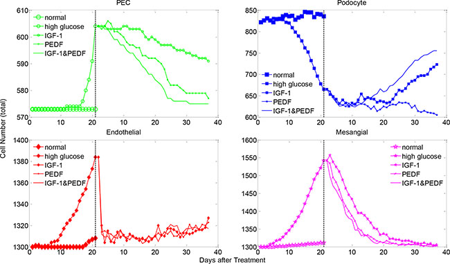 The changes in the total cell numbers under single and dual cytokine treatments.