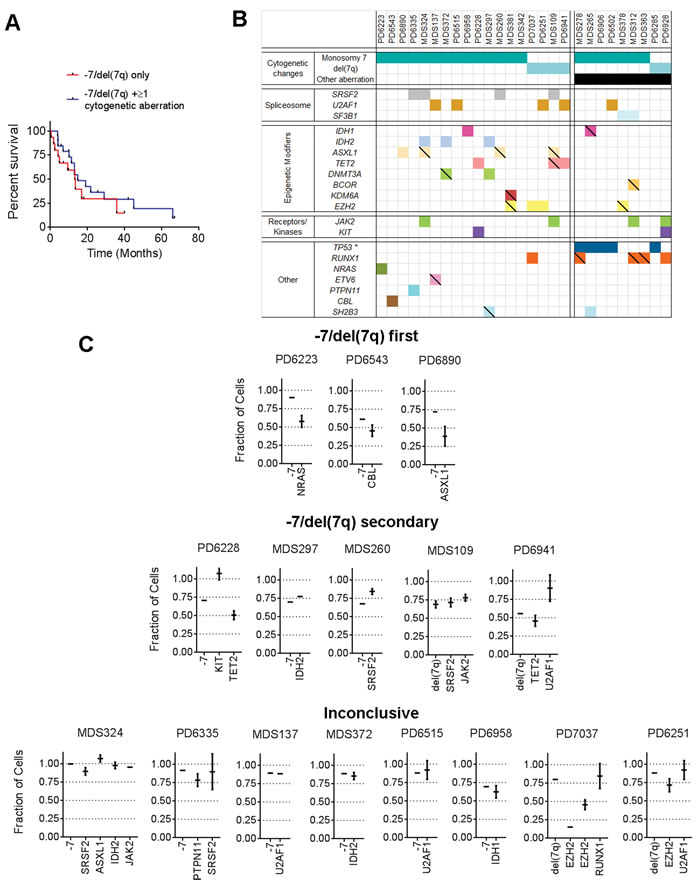 Co-occurrence of chromosome 7 abnormalities and recurrent driver mutations.