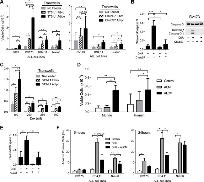 Adipocytes protect ALL from oxidative stress induced cell death.