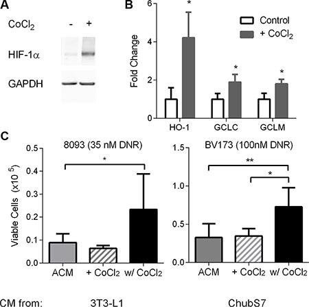 Oxidative stress in adipocytes leads to secretion of survival factors that protect ALL cells from DNR.