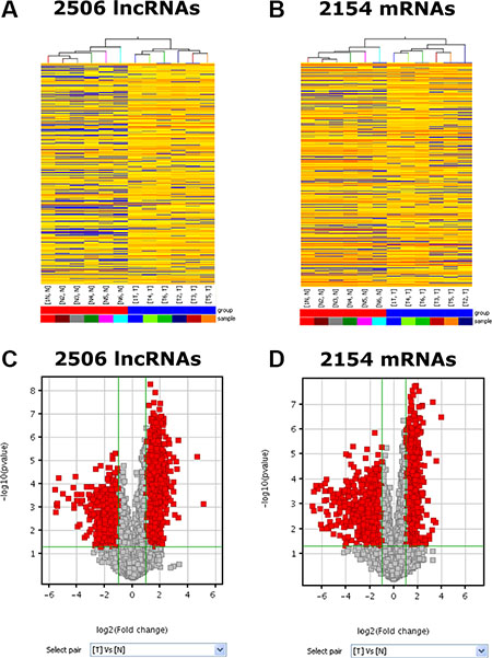 Differentially expressed RNA profiles between human PC tissue and paired adjacent non-tumor samples.