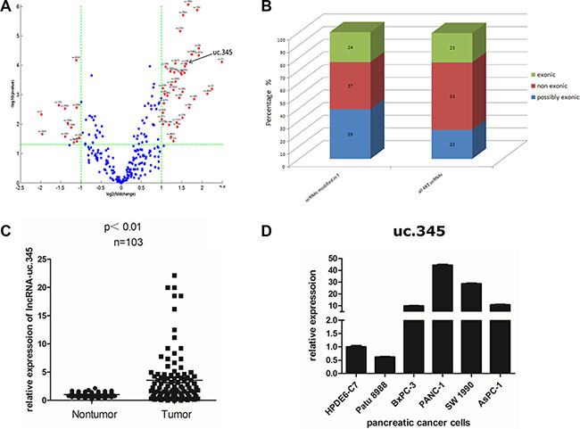 uc.345 is up-regulated in PC tissue.