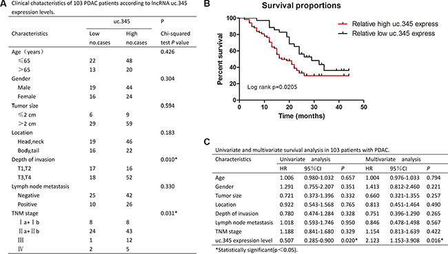 uc.345 is an independent prognostic factor to predict overall survival.