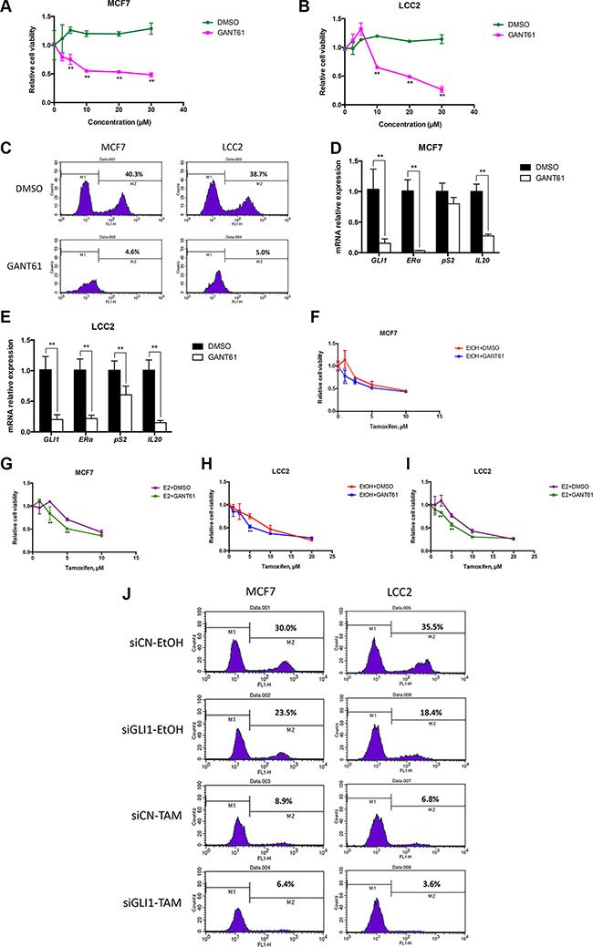 GANT61 increases tamoxifen cytotoxicity, irrespective of the presence or absence of estrogen.