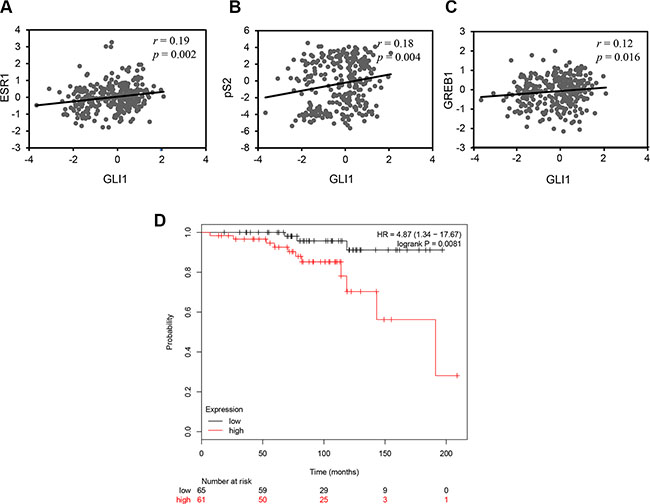 GLI1 expression positively correlates with the expression of ESR1 and its target genes and is a negative prognostic marker in breast cancer.