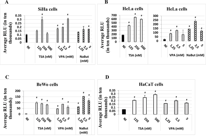 HDACi induce the expression of the luc gene under the control of the HPV-16 LCR in the SiHa.