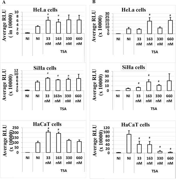 Time-dependent effect of TSA on the LCR transcriptional activity in the presence of HPV-16 early genes in HeLa, SiHa and HaCaT transformed cell lines.
