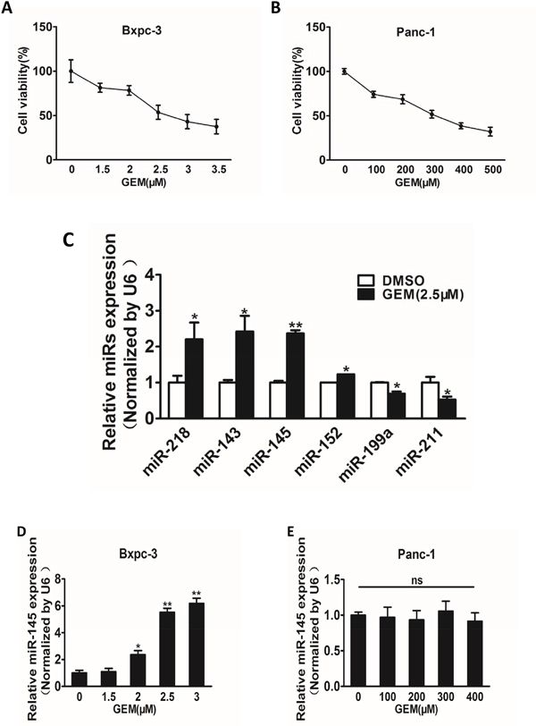 Gemcitabine treatment induces miR-145 up-regulation in gemcitabine-sensitive pancreatic adenocarcinoma cells.