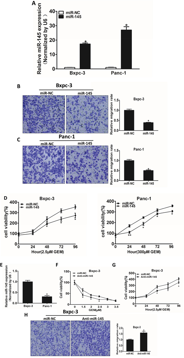 MiR-145 over-expression attenuates cell migration and enhances gemcitabine chemosensitivity in pancreatic adenocarcinoma cells.