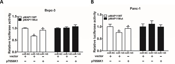 MiR-145 inhibits VEGF transcriptional activation through targeting p70S6K1 in pancreatic adenocarcinoma cells.