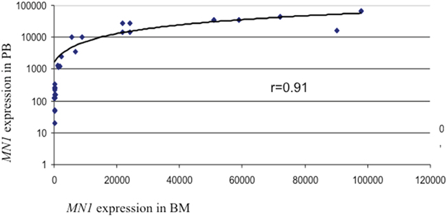 Correlation between MN1 expression in PB and BM.