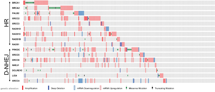 Analysis of TCGA database of 287 individual skin cutaneous melanomas.