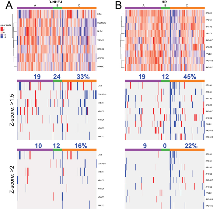 Transcriptome microarrays analysis of expression of the genes in A. D-NHEJ pathway, and B. HR pathway from 229 melanoma cell lines established from patients manifesting the following phenotypes: A- proliferative, C- invasive, and B- intermediate.