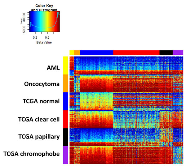 Training data set heatmap of 600 differentially methylated features (rows) in 697 kidney samples (columns).