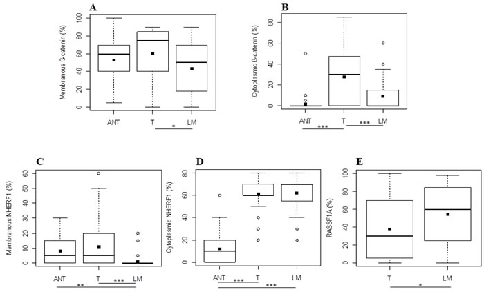 Protein expression analysis in metastatic CRC.