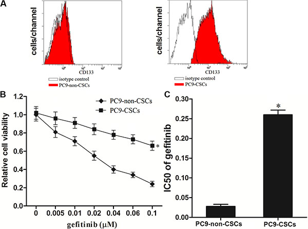 Lung cancer stem cells are resistant to gefitinib.