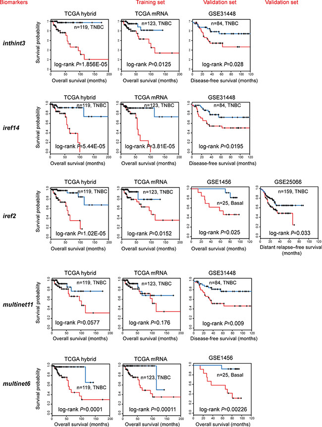 Independent validation of the subnetwork biomarkers obtained from TCGA.