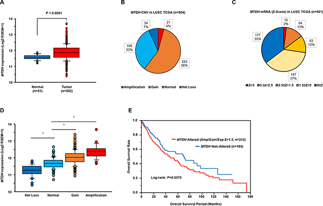 Clinical significance of MTDH expression in lung SCC based on TCGA database.