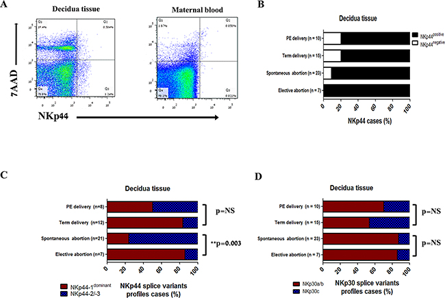 NKp44 and NKp30 splice variants profiles in decidual tissue.