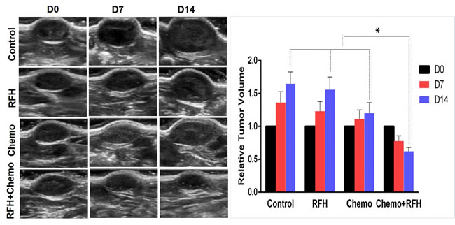 Ultrasound imaging of mice with subcutaneous pancreatic cancers.