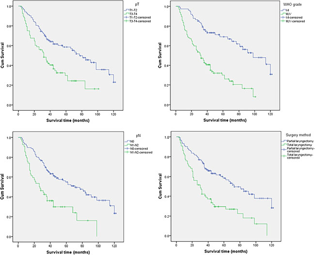 Kaplan-Meier analysis of LC patient overall survival according to the pT, pN, WHO grade, and surgical method.