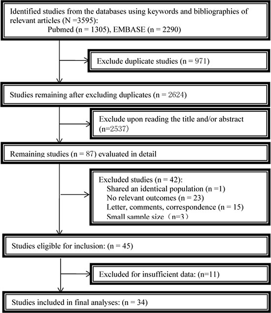 Flowchart of the study selection.