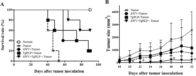 Tumor reduction in CT26-tumor-bearing BALB/c mice vaccinated with AWV and/or TgPLP.