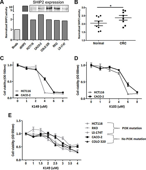 SHIP2 phosphatase activity is increased in CRC, and chemical SHIP2 activity inhibition results in CRC cells death.