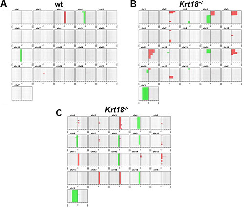 Chromosomal aberration profile of liver tumors of 17-20-months-old wt, Krt18+/&#x2212; and Krt18&#x2212;/&#x2212; mice.