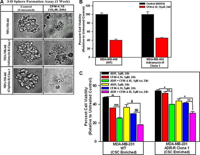 CFM-4.16 inhibits growth of mammospheres derived from parental and drug-resistant TNBC cells, and enhances efficacy of ADR in parental and ADR-resistant tumor-derived, CSC-enriched cells.