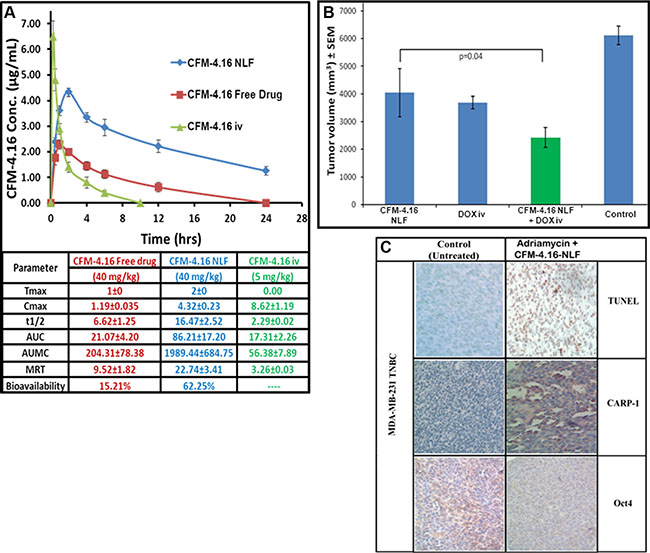 Formulation of surface modified CFM-4.16 NLF and evaluation of its pharmacokinetic parameters (A) and inhibition of TNBC cell-derived xenografts (B, C).