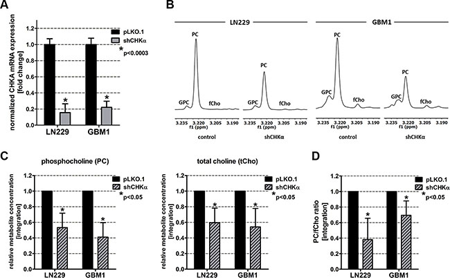 Choline Kinase alpha (CHK&#x03B1;) knockdown leads to similar alterations in choline metabolism as ZEB1 knockdown.