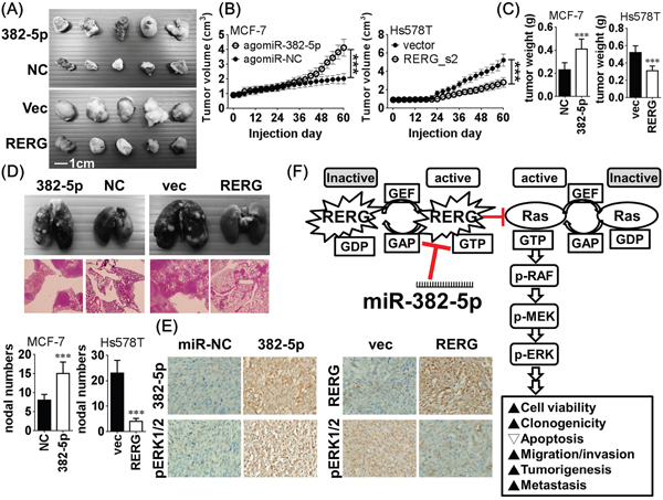 Figure 6: