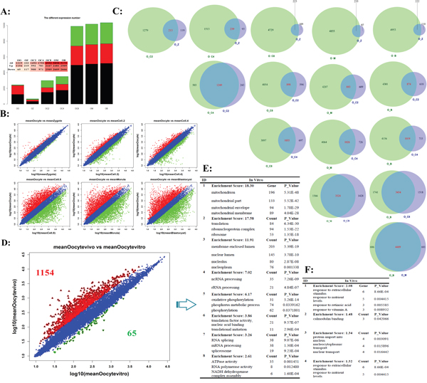 The different expression profiles when using the oocyte&#x0027;s transcriptome as background.